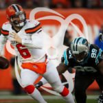Cleveland Browns vs Carolina Panthers Match Player Stats